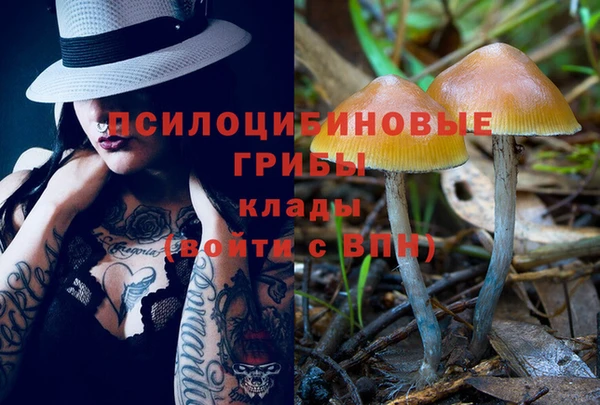 молекула духа Сосновый Бор