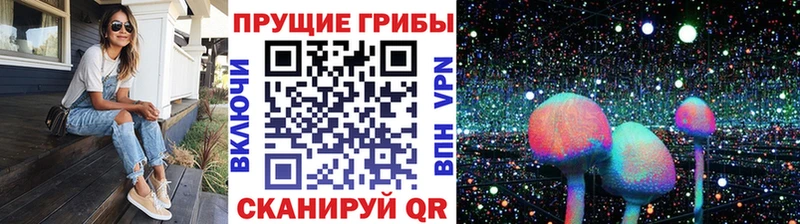 Псилоцибиновые грибы мицелий Буинск